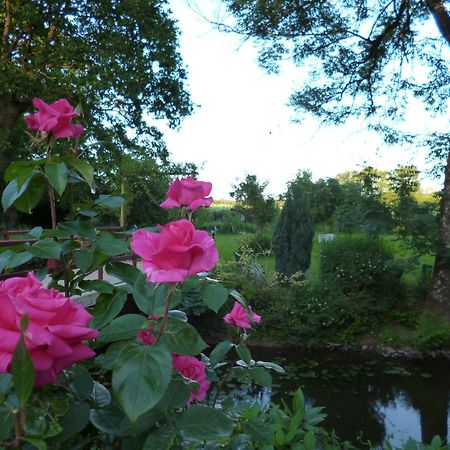 Le Moulin Du Bignon Bed and Breakfast Lassy Exterior foto