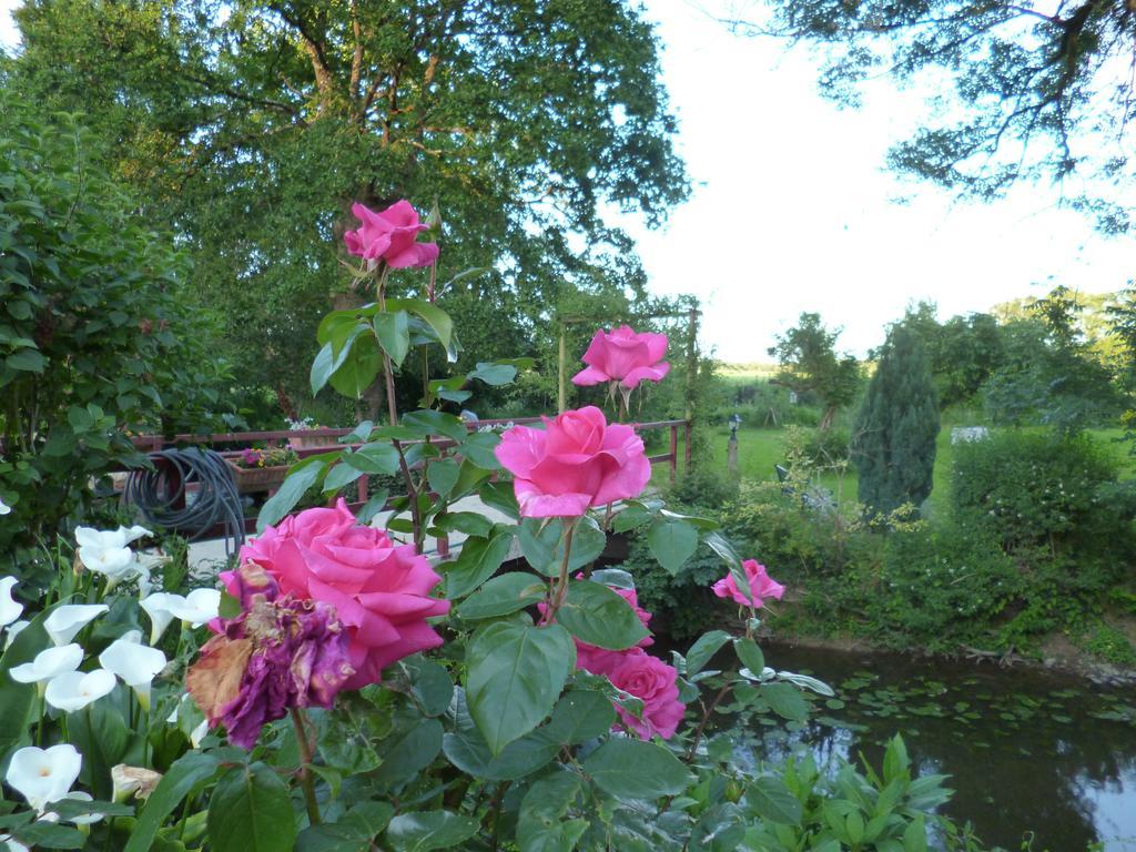 Le Moulin Du Bignon Bed and Breakfast Lassy Exterior foto