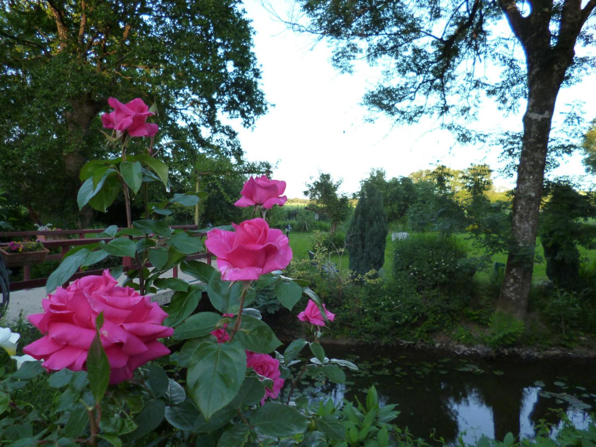 Le Moulin Du Bignon Bed and Breakfast Lassy Exterior foto